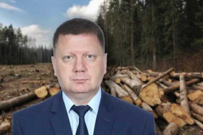 Экс-главу поселения Усть-Баргузин Михаила Мишурина могут привлечь к ответственности по делу о лесных нарушениях