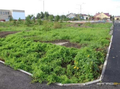 Назарово: как Александр Гейнрих, Алексей Горшков и Максим Елькин довели проект Горняка до скандала