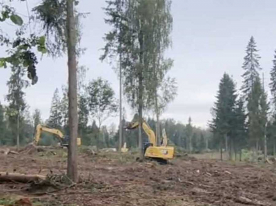 Лосиный Остров под ударом: московские власти обходят закон ради строительства дорог и ЖК