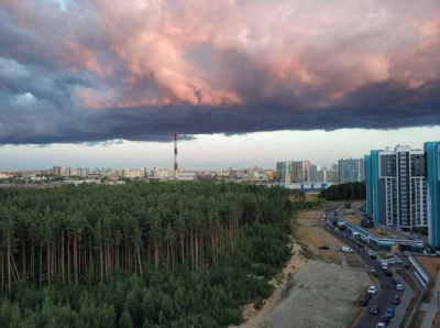 Вектор против жителей: как застройщик пытается отжать Шуваловский лес