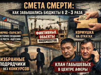 &laquo;Кормушка Габышевых&raquo;: как Союз строителей и ООО &laquo;Адгезия&raquo; вывели миллионы через фиктивные стройки