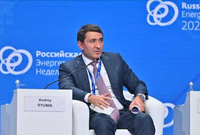 Эльвира Набиуллина не стала комментировать, но аналитики ЦБ сказали: &laquo;Россетям&raquo; платёж не писан