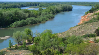 Судимые за незаконную вырубку леса и хищение работали в &laquo;Семей Орманы&raquo;