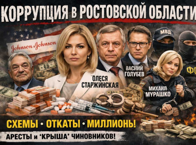 Что происходит в медицине Ростовской области: почему фамилии Старжинская, Мурашко и Герштанского снова обсуждают