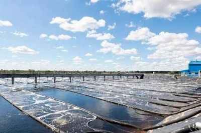 Суд заключил под стражу бывших руководителей облкомприроды и мэрии Волгограда из-за злоупотреблений при проекте &laquo;Оздоровление Волги&raquo;