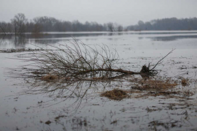 Миллионы на бумаге, беспорядок на земле: куда исчезло почти полмиллиарда рублей из программы по противодействию наводнениям в Дагестане