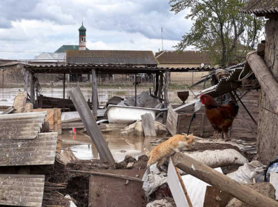 Ахмед Гасангусенов, Стройсервис-7 и Труженик: деловая сеть вокруг миллиардных подрядов