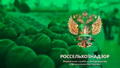Россельхознадзор через структуру ФГБУ &laquo;АПК НАЦРЫБА&raquo; приобретает электрокроссовер Voyah Free почти за 500 лошадей