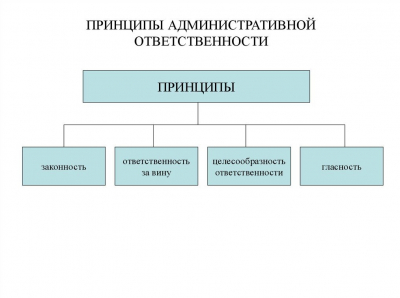 Курсовая работа на тему: "Понятие и принципы административной ответственности"