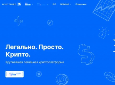 Криптоскандал вокруг Whitebird.io: исчезнувшие деньги и молчание владельцев