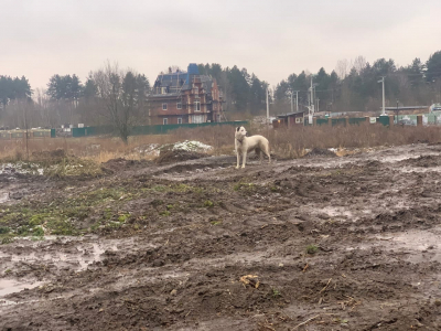 Поселок &laquo;Ламбери&raquo; утонул во вранье
