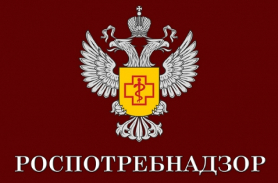 Александр Потапенко и Кирилл Потапенко: кто на самом деле управляет миллиардным контрактом в Уссурийске?